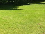 Maison neuve à Bazoches-sur-Guyonne (78490) 2155038-3233annonce120250512faNvI.jpeg Maisons France Confort