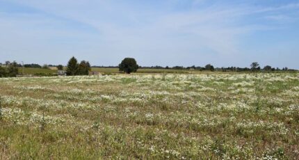 Vassonville Terrain à bâtir - 2158837-11159annonce1202505155QSJL.jpeg Maisons France Confort