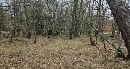 Trans-en-Provence Maison neuve - 2135016-5163annonce220250617dRCkU.jpeg Maisons France Confort