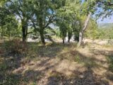 Terrain à bâtir à Callian (83440) 2135716-5163annonce3202504177Hz7H.jpeg Maisons France Confort