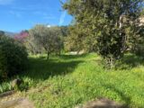 Maison à construire à Toulon (83000) 2161845-11136annonce12025050616wN8.jpeg Maisons France Confort