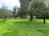 Maison à construire à Lézignan-la-Cèbe (34120) 2162008-11018annonce220250519KJQHq.jpeg Maisons France Confort