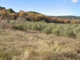 Terrain à bâtir à Rognes (13840) 2163069-7060annonce120240611TCD4z.jpeg Maisons France Confort