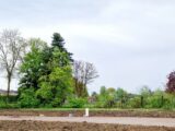 Maison à construire à Bailleul (59270) 2164172-1807annonce120250521kEZUv.jpeg Maisons France Confort