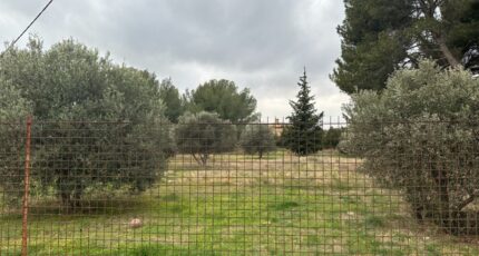 Saint-Chamas Terrain à bâtir - 2170582-7054annonce220250526fQ2q7.jpeg Maisons France Confort