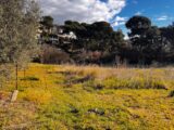 Terrain à bâtir à La Ciotat (13600) 2171042-7054annonce120250618PTEFH.jpeg Maisons France Confort