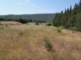 Terrain à bâtir à Camps-la-Source (83170) 2171254-10744annonce320250527QBFSD.jpeg Maisons France Confort