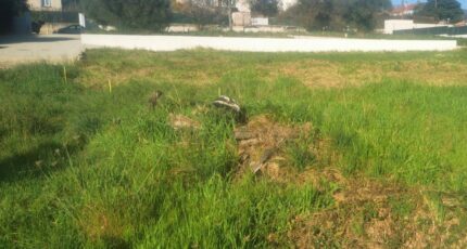 Aubagne Maison neuve - 2106453-10271annonce1202503141mKzL.jpeg Maisons France Confort
