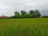 Terrain à bâtir à Jarnac (16200) 2170267-11268annonce120250526umqJE.jpeg Maisons France Confort