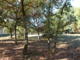 Terrain à bâtir à Lachapelle-Auzac (46200) 2166798-11302annonce320250522T3X17.jpeg Maisons France Confort