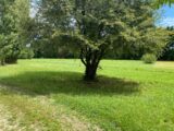 Terrain à bâtir à Cessac (33760) 2167424-10994annonce120250523aD3ED.jpeg Maisons France Confort
