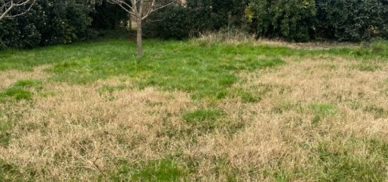Terrain à bâtir à Salles, Nouvelle-Aquitaine