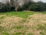 Maison à construire à Salles (33770) 2175678-11272annonce1202505318DX2k.jpeg Maisons France Confort
