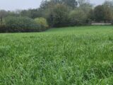 Terrain à bâtir à Bourg-Saint-Christophe (01800) 2148244-11092annonce120250504SDmEk.jpeg Maisons France Confort