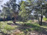 Terrain à bâtir à Vidauban (83550) 2121594-11039annonce320250331es9oE.jpeg Maisons France Confort