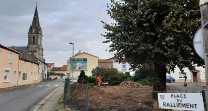 Landemont Terrain à bâtir - 2176937-11353annonce120250602BEchJ.jpeg Maisons France Confort