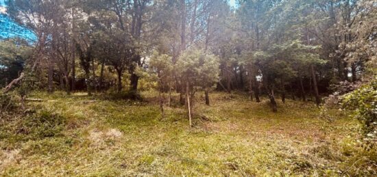 Terrain à bâtir à , Var