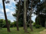 Terrain à bâtir à Artigues-près-Bordeaux (33370) 2176513-11383annonce3202506140gxEJ.jpeg Maisons France Confort