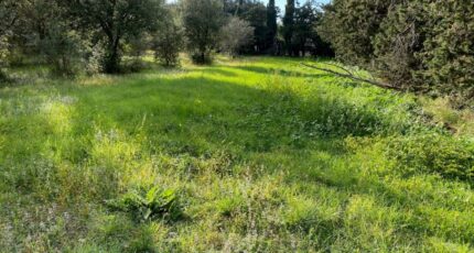 Grillon Terrain à bâtir - 2138314-6150annonce420230705N0sC7.jpeg Maisons France Confort