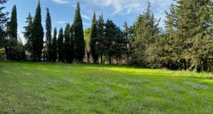 Grillon Terrain à bâtir - 2138349-6150annonce120230109Fxmea.jpeg Maisons France Confort