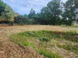Terrain à bâtir à Lavaur (81500) 2173895-11178annonce220250528tTRVZ.jpeg Maisons France Confort
