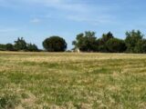 Terrain à bâtir à Vacquiers (31340) 2174936-11356annonce120250530Mtt8B.jpeg Maisons France Confort