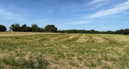 Vacquiers Terrain à bâtir - 2174936-11356annonce220250530mmvsc.jpeg Maisons France Confort