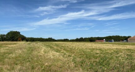 Vacquiers Terrain à bâtir - 2174936-11356annonce420250530vkGmG.jpeg Maisons France Confort