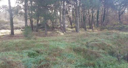 Le Taillan-Médoc Terrain à bâtir - 2173300-11301annonce120250528SQWN4.jpeg Maisons France Confort