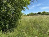 Terrain à bâtir à Montpitol (31380) 2175478-11356annonce420250530FavmN.jpeg Maisons France Confort