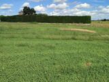Terrain à bâtir à Anneyron (26140) 2177892-11248annonce120250603TPLOq.jpeg Maisons France Confort