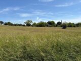 Terrain à bâtir à Montpitol (31380) 2175509-11356annonce220250530p0wmd.jpeg Maisons France Confort