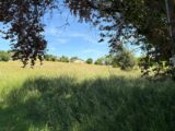 Maison à construire à Montpitol (31380) 2175544-11356annonce1202505302uXO3.jpeg Maisons France Confort