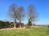 Maison à construire à Flines-lez-Raches (59148) 2113076-10863annonce1202503209OB1q.jpeg Maisons France Confort