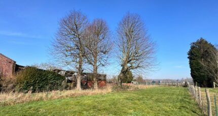 Flines-lez-Raches Maison neuve - 2113076-10863annonce1202503209OB1q.jpeg Maisons France Confort