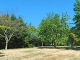 Maison à construire à Soyaux (16800) 2168045-11045annonce220250121ZLJ1M.jpeg Maisons France Confort