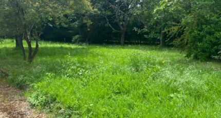 Soyaux Maison neuve - 2168045-11045annonce420250121ghUa0.jpeg Maisons France Confort