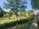 Terrain à bâtir à Cébazan (34360) 2179649-11018annonce320250604KQIl8.jpeg Maisons France Confort