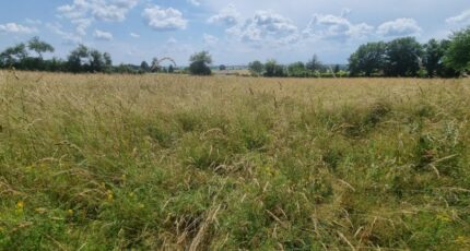 Chalamont Maison neuve - 2085376-10453annonce220250220hJX4L.jpeg Maisons France Confort