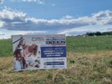 Terrain à bâtir à Montanay (69250) 2111400-10453annonce220250319AxV5T.jpeg Maisons France Confort