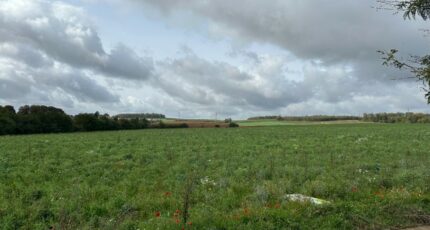 Elzange Maison neuve - 2179426-5139annonce120250604V4DpT.jpeg Maisons France Confort
