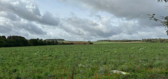 Terrain à bâtir à Elzange, Grand Est