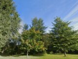 Maison à construire à Monnaie (37380) 2138373-9897annonce120240701lMeNU.jpeg Maisons France Confort