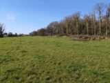 Terrain à bâtir à Breuillet (17920) 2180263-11221annonce220250409MHpbL.jpeg Maisons France Confort