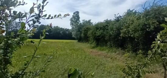 Terrain à bâtir à Condette, Hauts-de-France