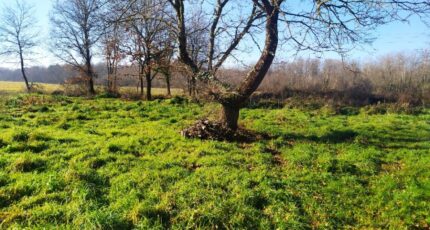 Langon Maison neuve - 2180441-11141annonce120250521ol09a.jpeg Maisons France Confort