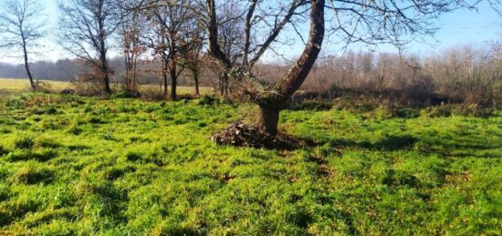 Terrain à bâtir à Langon, Nouvelle-Aquitaine