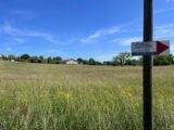 Terrain à bâtir à Gémil (31380) 2177272-3925annonce120250602SglJd.jpeg Maisons France Confort