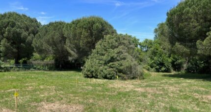 Saint-Jean Maison neuve - 2177431-3925annonce220250602cI646.jpeg Maisons France Confort
