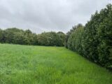 Maison à construire à Loriol-sur-Drôme (26270) 2180937-6150annonce120240328rXWsQ.jpeg Maisons France Confort